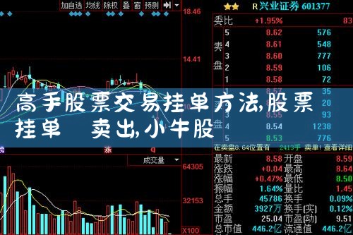 高手股票交易挂单方法|小牛股