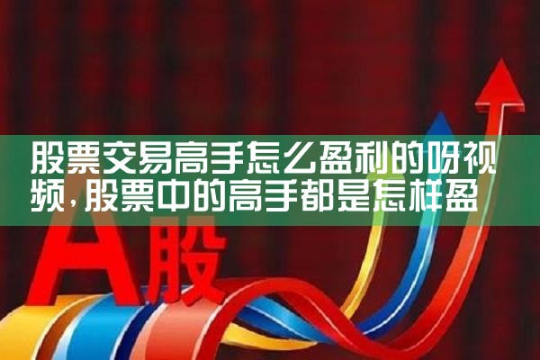 股票交易高手怎么盈利的呀视频|小牛股
