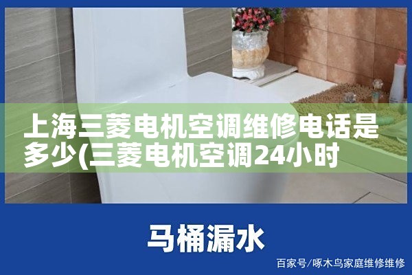 Ϻյά޵绰Ƕ|ά
