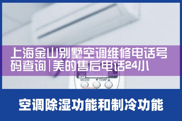Ϻɽյά޵绰ѯ|ͬŷ