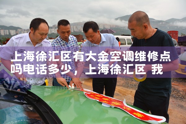 上海徐汇区有大金空调维修点吗电话多少|上门维修